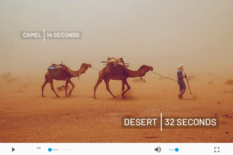 Frame-by-frame video analysis results